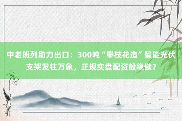 中老班列助力出口：300吨“攀枝花造”智能光伏支架发往万象，正规实盘配资般稳健？