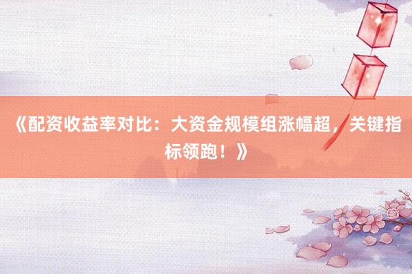 《配资收益率对比：大资金规模组涨幅超，关键指标领跑！》