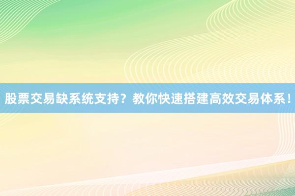 股票交易缺系统支持？教你快速搭建高效交易体系！