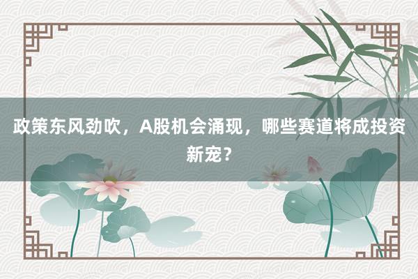 政策东风劲吹，A股机会涌现，哪些赛道将成投资新宠？