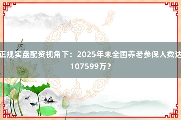 正规实盘配资视角下：2025年末全国养老参保人数达107599万？